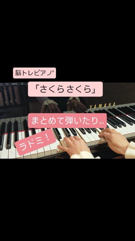 久喜市で唯一！脳トレピアノ®が出来る【たかぎピアノ教室】
今春の脳トレピアノ®課題曲は…

初級　「さくらさくら」
中級　「ひなまつり」
上級　「卒業写真」

先ずは「さくらさくら」からいきます☺️💕

左手はワンパターンだから、絶対に弾けるようになります🎹✨

初級「さくらさくら」がクリアしたら、中級「ひなまつり」に進みましょう🎎

脳トレピアノ®が気になる方は、教室公式LINEよりお問合せ下さい☺️💕⇩⇩⇩
https://lin.ee/Ds78jQu

#脳トレピアノ® #久喜ピアノ教室 #久喜市習い事 #久喜習い事